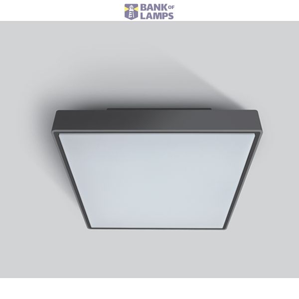 ANTHRACITE PLAFO 16W WW IP65 230V image 1