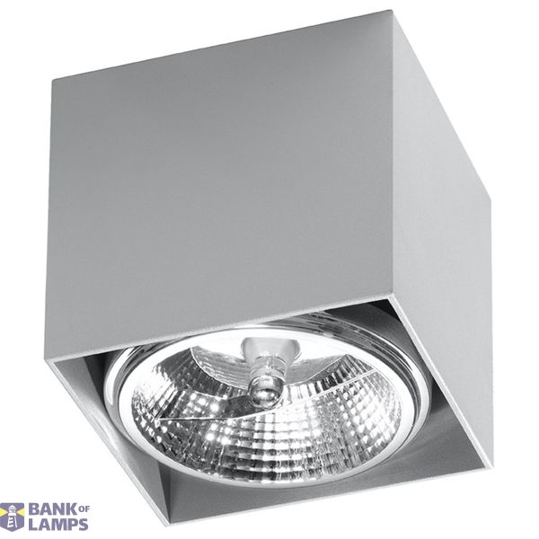 SPOT BLAKE GREY GU10 1X40W IP20 image 2