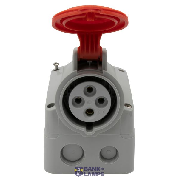 Tv telenet + RJ45 UTP category 6 socket alu image 20