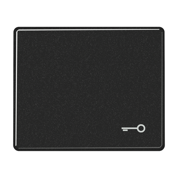 1-gang rocker w.symbol "door" image 1