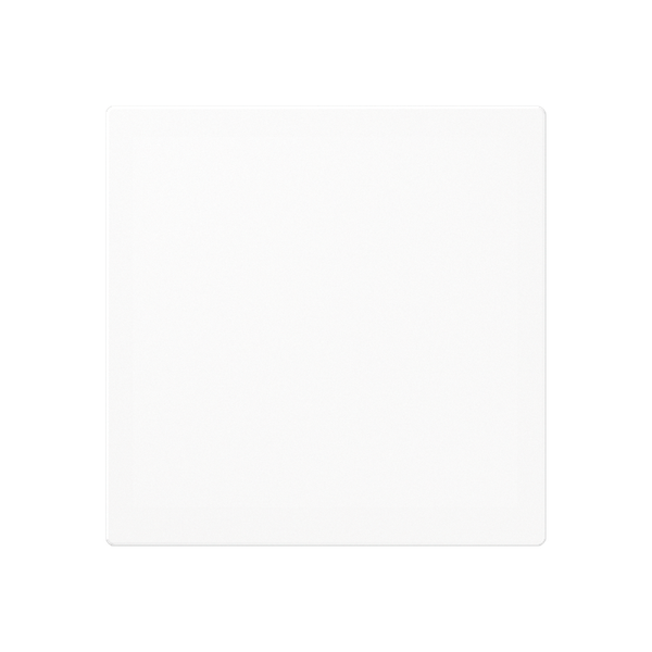 Blank centre plate A594-0PLWW image 2