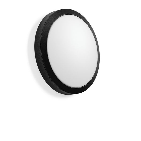 ROUNDED, 10 W, 800 lm, 830, 840, anthracite, on/off Ceiling and wall l image 2