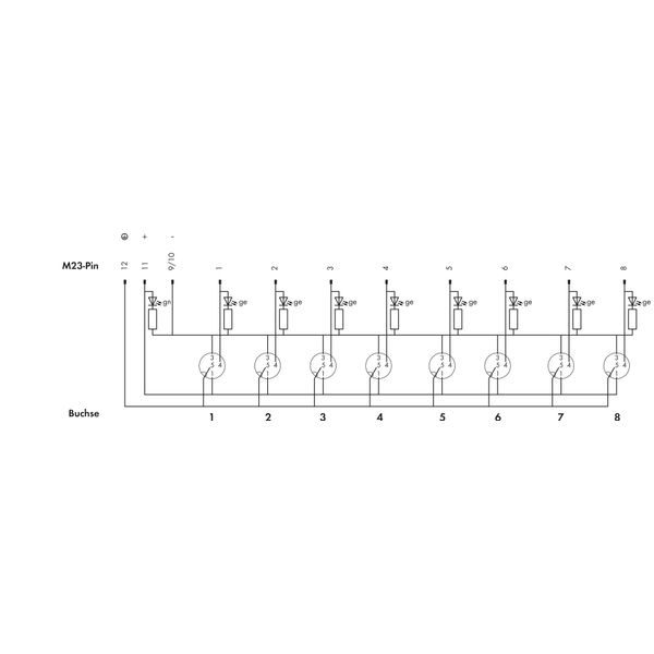 M12 sensor/actuator box 8-way 4-pole image 6