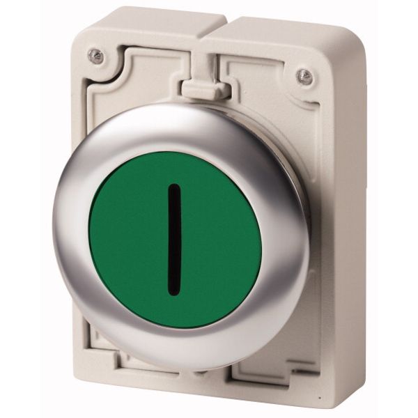 M30I-FDR-G-X1 Pushbutton, RMQ-Titan, flat, maintained, green, inscribed, Front ring stainless steel image 1