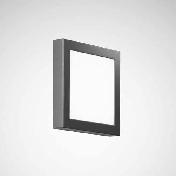 Wall and ceiling luminaire Skeo Pura Lens Anthracite ET 14W 600lm Lambertian (L) IP65 IK07 5 SDCM image 1