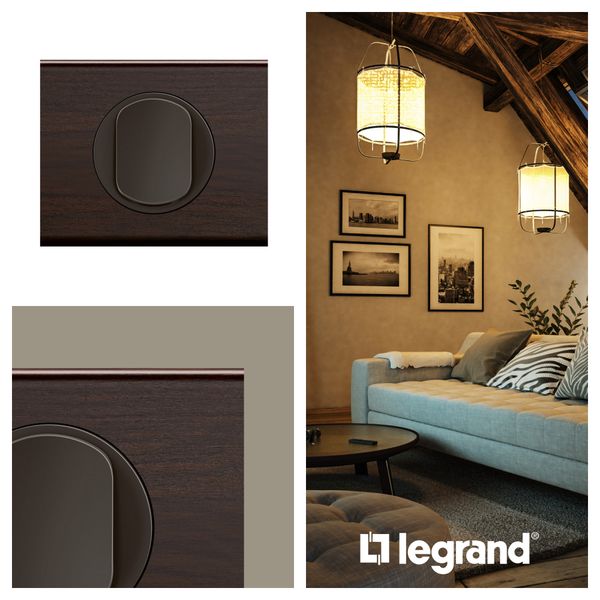 PLATE 2 GANG ASH WENGE image 5