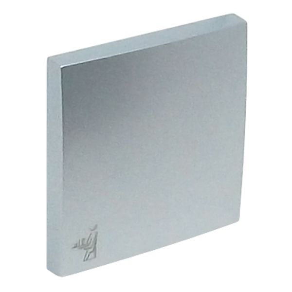 ROCKER F/SWITCHES W/MAID SYMBOL ALUMINIUM image 2