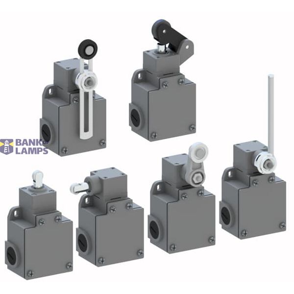 LS65M00B11 Limit Switch image 1