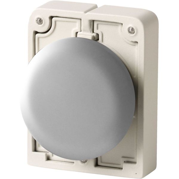 M30I-FB Blanking plug, Front ring stainless steel image 2