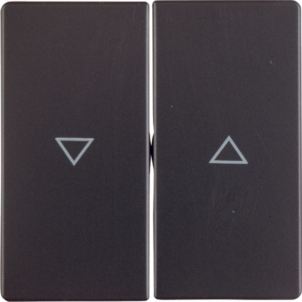 Rocker 2-gang Berker Q.1/Q.3/Q.7/Q.9 arrow symbol anthracite velvety lacquered image 1