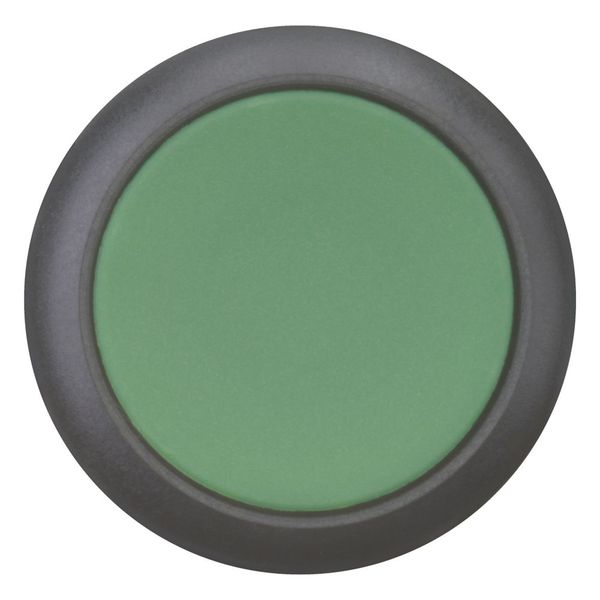 M22S-D-G Pushbutton, RMQ-Titan, Flat, momentary, green, Blank, Bezel: black image 9