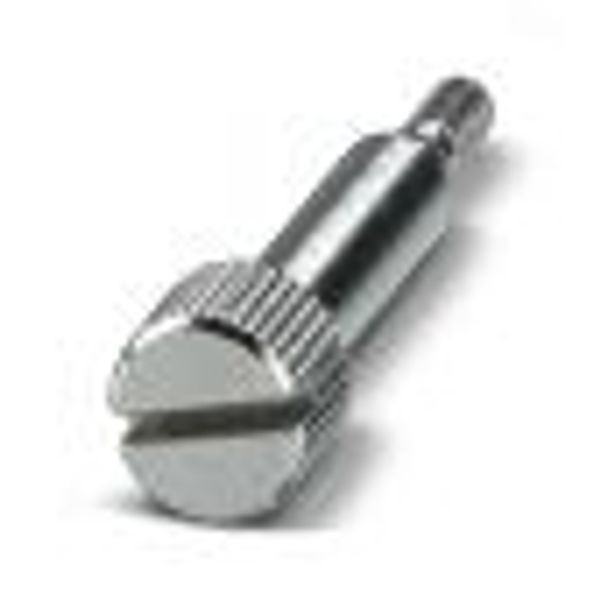 HC-LSM-M4 - Screw image 2