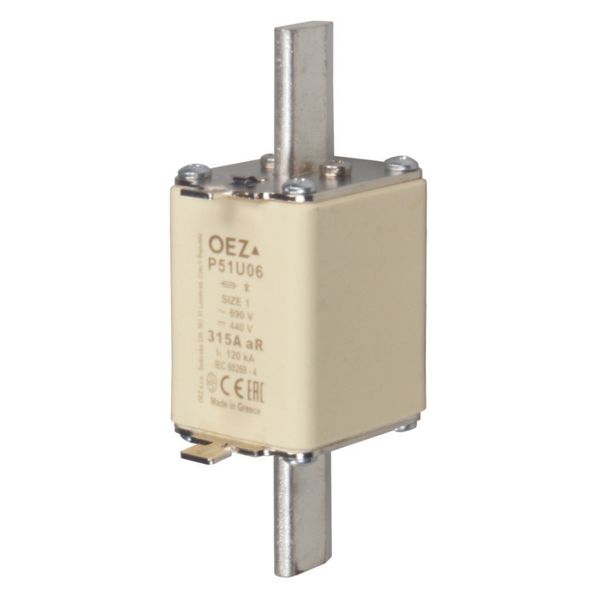 Fuse-link for semiconductor protection P51U06 100A aR image 1