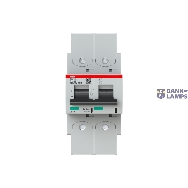 S802P-D125-R circuit breaker image 1