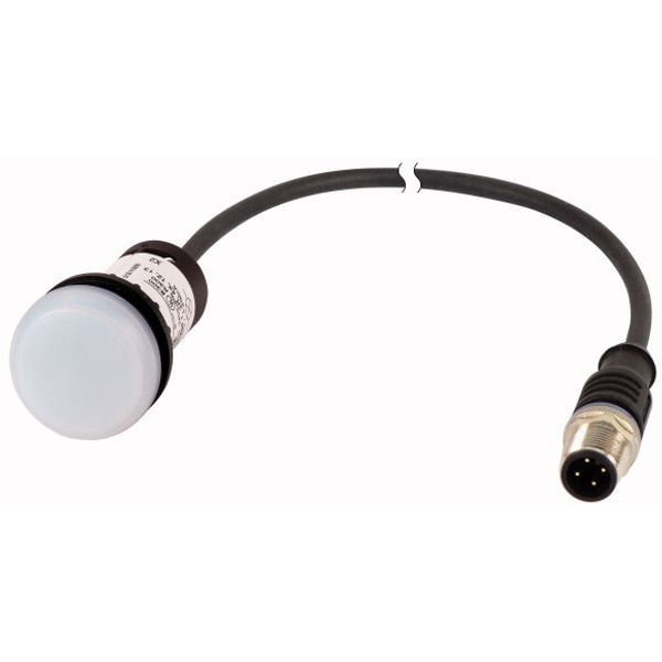 C22-L-W-24-P1 Indicator light, Flat, Cable (black) with M12A plug, 4 pole, 0.2 m, Lens white, LED white, 24 V AC/DC image 1