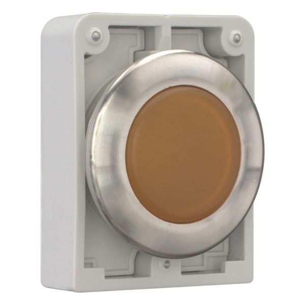 M30I-FL-A Indicator light, RMQ-Titan, flat, orange, Front ring stainless steel image 10