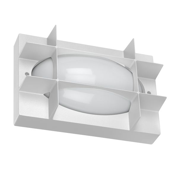 BLIZ OVAL 21 S/EW 830 WIT image 1