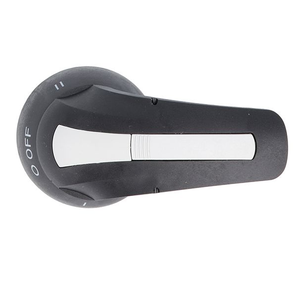 Door-coupling lever handle, padlockable. Black rotating type with screw fixing on door, 143mm/5.6”; □10mm/0.4”. IEC IP65 image 1