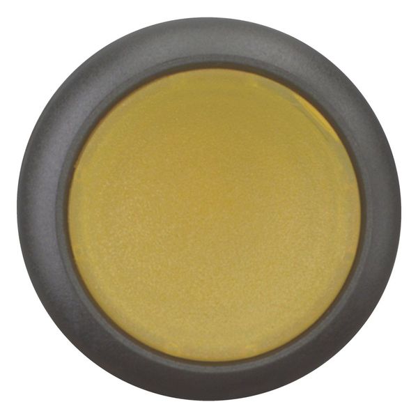 M22S-DL-Y Illuminated pushbutton actuator, RMQ-Titan, Flush, momentary, yellow, Blank, Bezel: black image 9