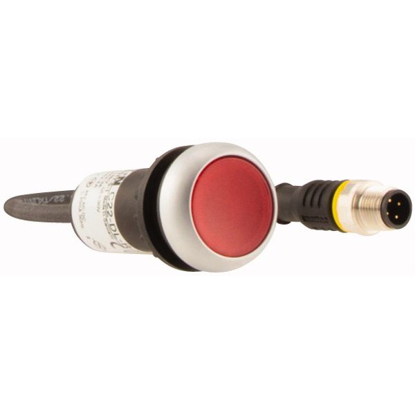 C22-DL-R-K01-24-P3 Illuminated pushbutton actuator, Flat, momentary, 1 NC, Cable (black) with M12A plug, 4 pole, 0.5 m, LED Red, red, Blank, 24 V AC/DC, Bezel: titanium image 4
