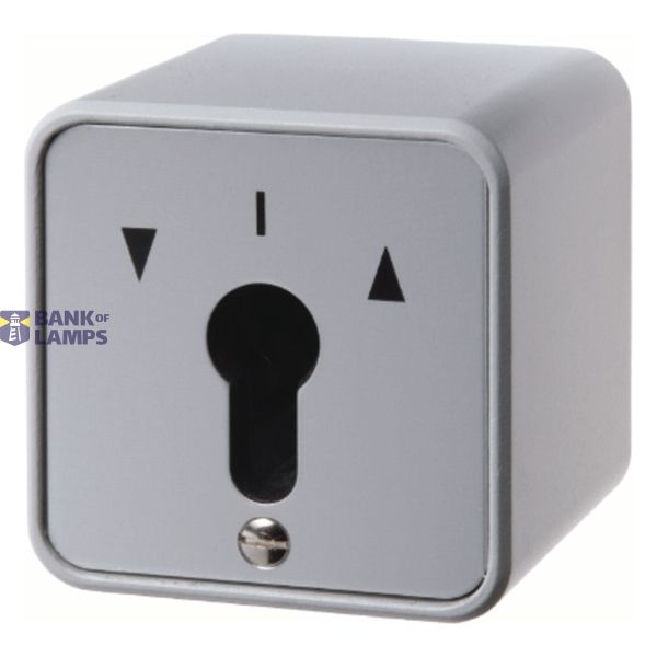 2-pole blind switch for key cylinder, surface-mounted, molded IP44 image 1