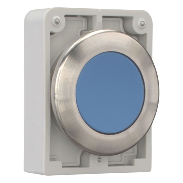 M30I-FDR-B Pushbutton, RMQ-Titan, flat, maintained, Blue, blank, Front ring stainless steel image 13
