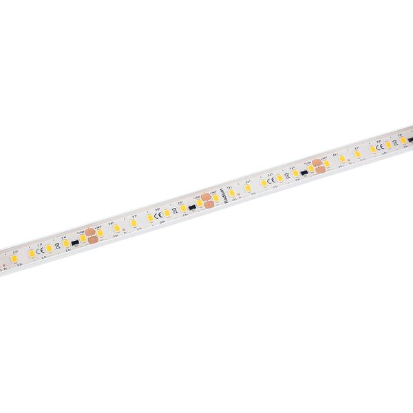 LED STRIP 2000 S 930/24V/IP67 30M image 1