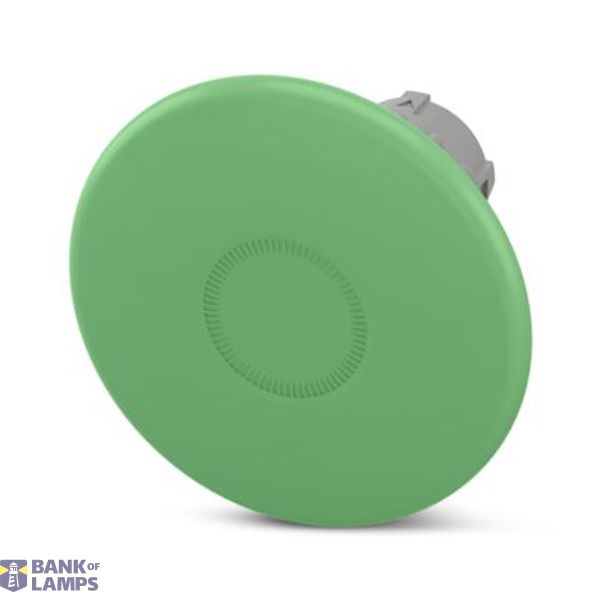 PHT22-MBL60-GN - Button image 1