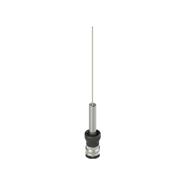 Head spring rod with whisker image 1