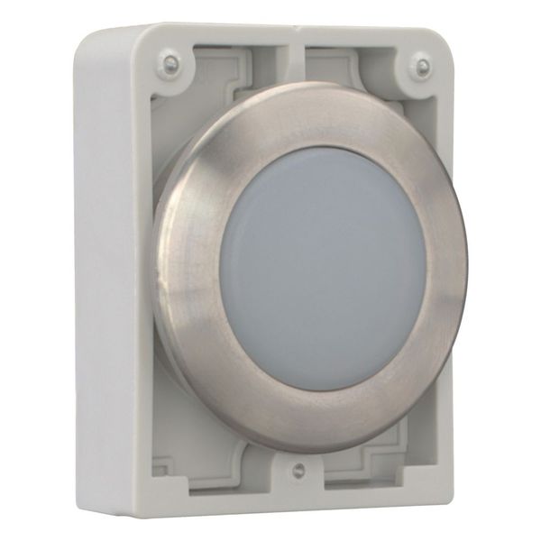 M30I-FL-W Indicator light, RMQ-Titan, flat, white, Front ring stainless steel image 7
