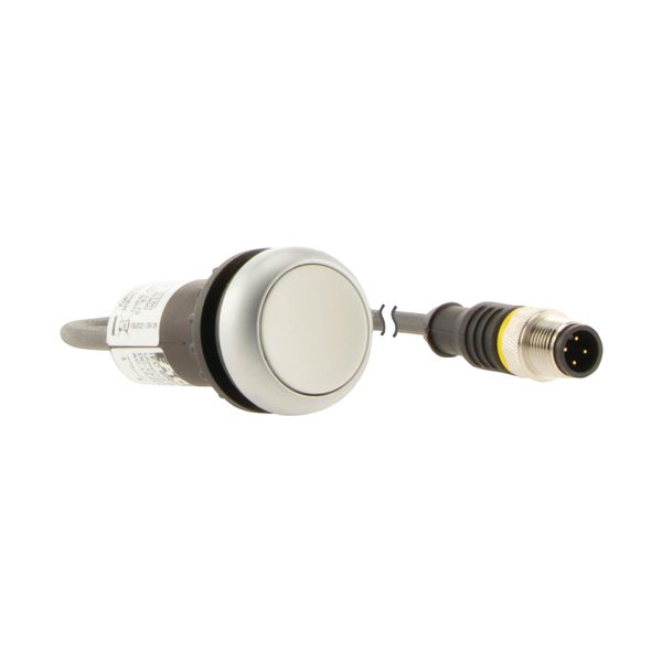 C22-D-W-K10-P3 Pushbutton, Flat, momentary, 1 N/O, Cable (black) with M12A plug, 4 pole, 0.5 m, White, Blank, Bezel: titanium image 11