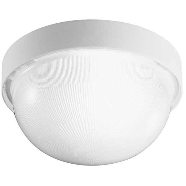 DROP 25 E27 WIT image 2
