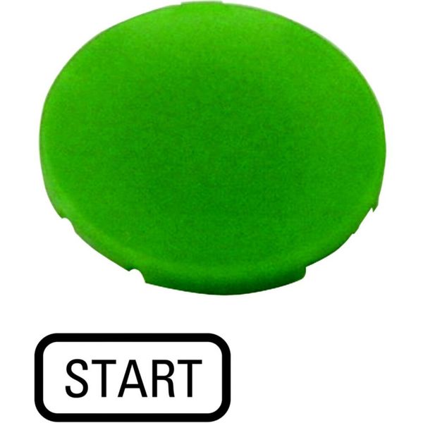 M22-XD-G-GB1 Button plate, flat green, START image 3