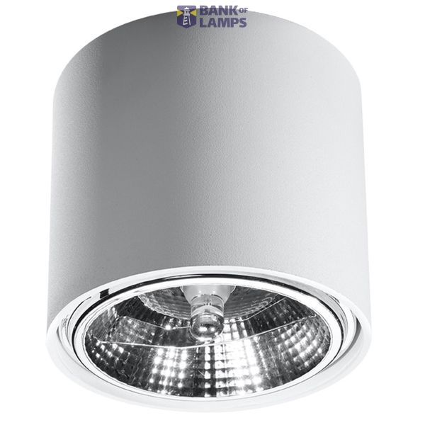 SPOT TIUBE WHITE GU10 1X40W IP20 image 3