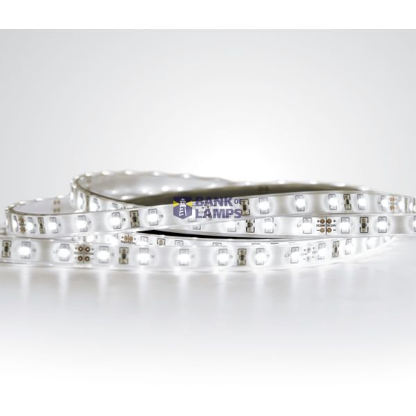 LED STRIP 24V CW 5m ROLL 4,8W/m IP68 image 1