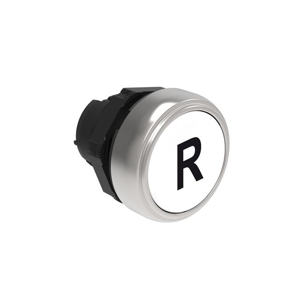 Pushbutton actuator, spring return, with symbol Ø22mm Platinum series chromed plastic, flush, R/White image 1
