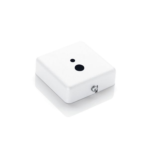SQUARE CEILING ROSE, WHITE image 1