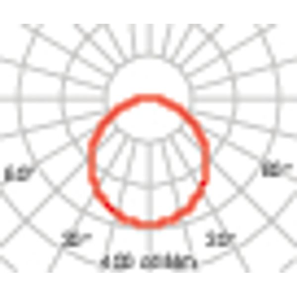 CLY 15 S/EW 830/40 WIT DLS DETEK image 4