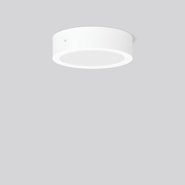 TOLEDO FLAT+ round, 15...25 W, 1450...2800 lm, 830, 840, white, on/off image 1