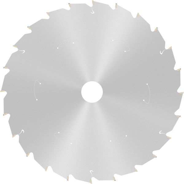 Standard for Wood Circular Saw Blade 254x30 T24 image 1