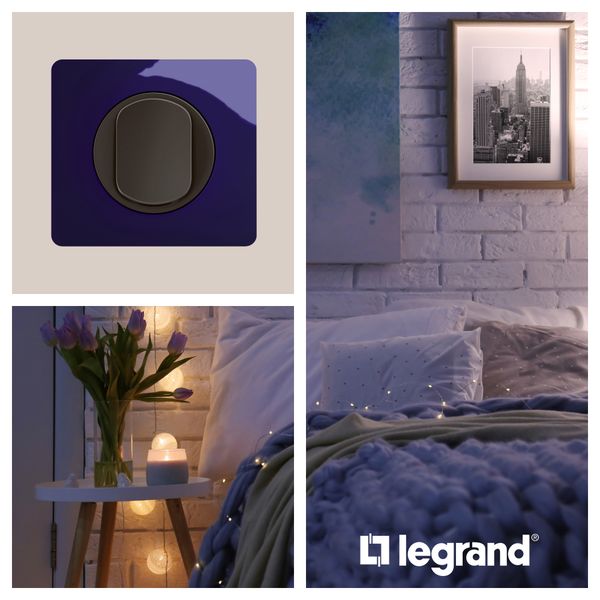 PLATE 1 GANG BLEU DE FOUR image 5