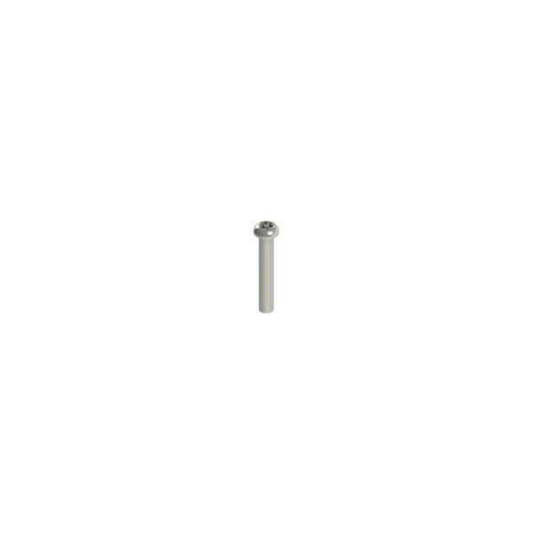 Stainless steel security screws image 1