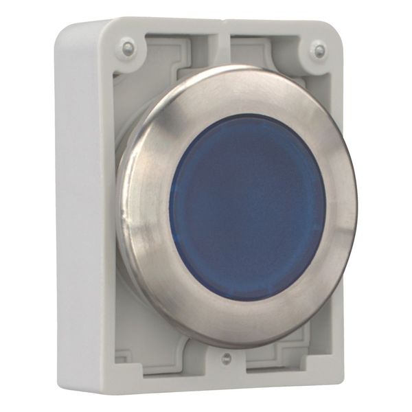 M30I-FDL-B Illuminated pushbutton actuator, RMQ-Titan, flat, momentary, Blue, blank, Front ring stainless steel image 11