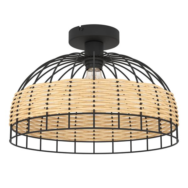 ANWICK ceiling light 43398 image 1