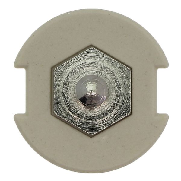 Gauge piece, LV, 20 A, AC 500 V, D2, IEC image 30