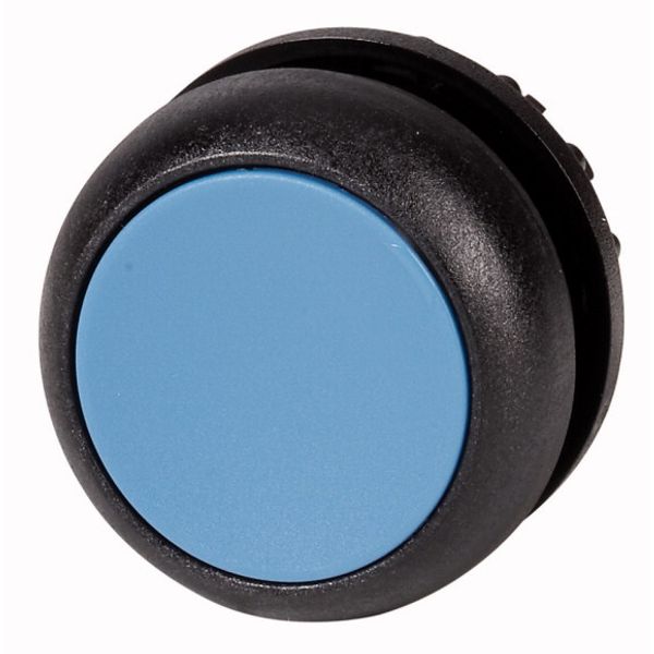 M22S-D-B Pushbutton, RMQ-Titan, Flat, momentary, Blue, Blank, Bezel: black image 1