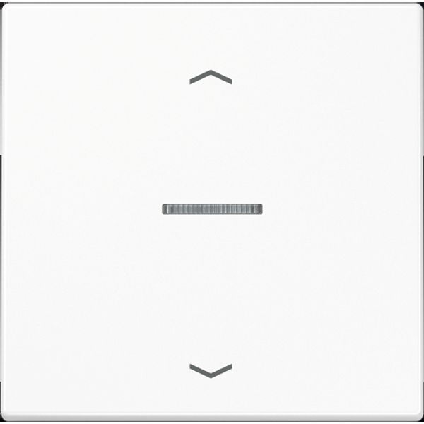 Centre plate for motor control inserts FMLS5232WW image 6