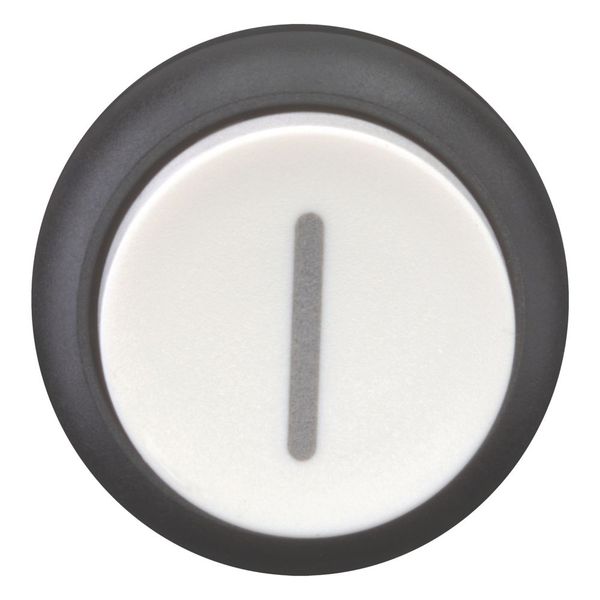 M22S-DH-W-X1 Pushbutton, RMQ-Titan, Extended, momentary, White, inscribed, Bezel: black image 4