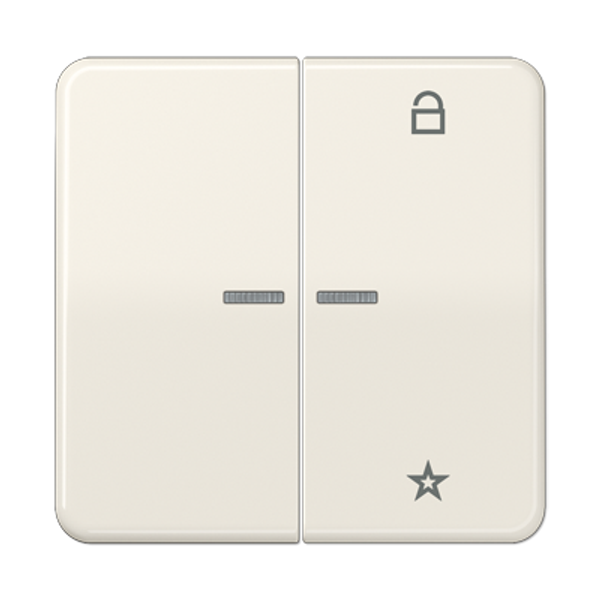 LB Management push-button 2-gang CD1702BR image 12
