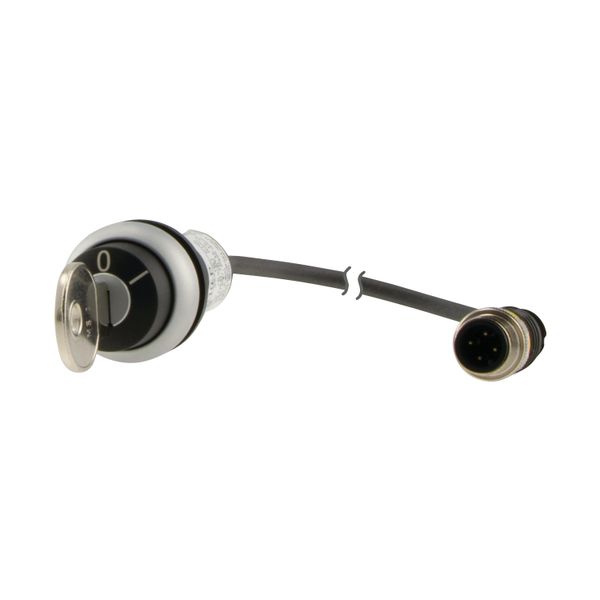 C22-WS-MS1-K10-P1 Key-operated actuator, RMQ compact solution, momentary, 1 N/O, Cable (black) with M12A plug, 4 pole, 0.2 m, 2 positions, MS1, Bezel: titanium image 7